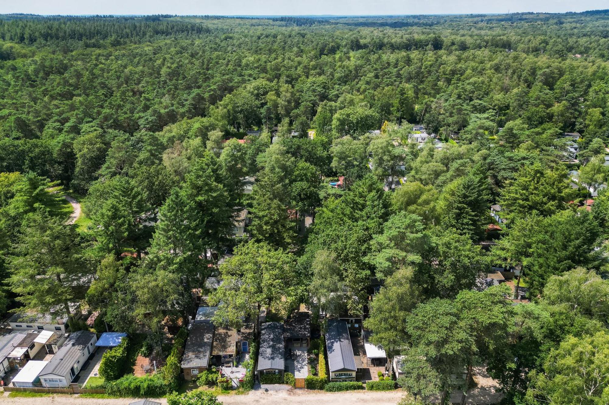 Veluwe Hoenderloo Luxury Chalet With Private Sauna And Hot Tub - Swimming Pool Tennis Court Supermarket Bowling Alley Theatre And Entertainment For Children Esterno foto