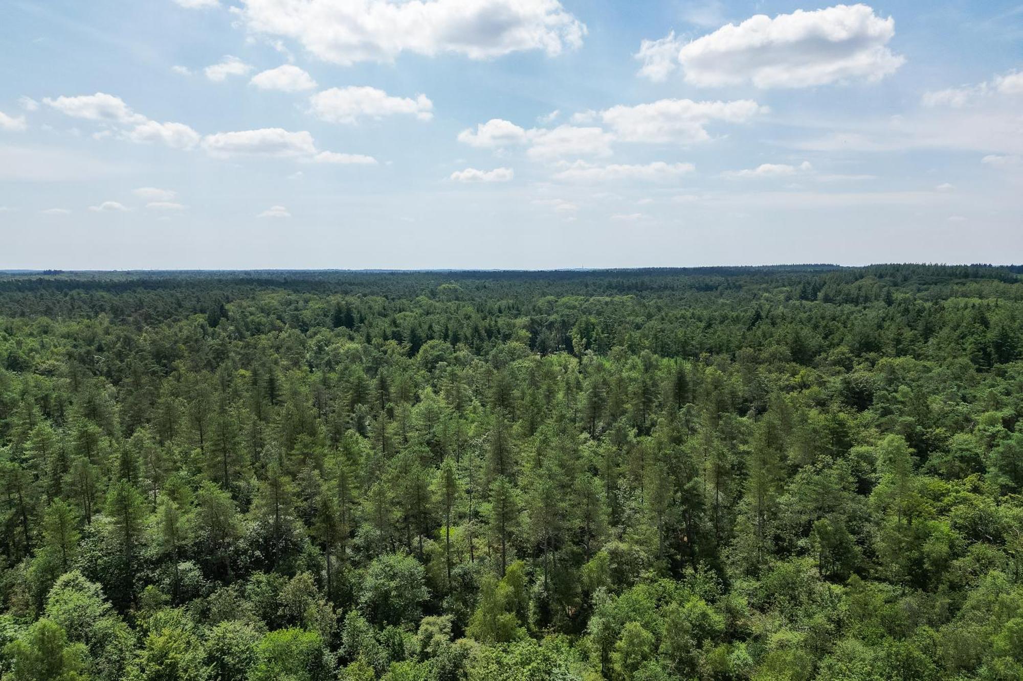 Veluwe Hoenderloo Luxury Chalet With Private Sauna And Hot Tub - Swimming Pool Tennis Court Supermarket Bowling Alley Theatre And Entertainment For Children Esterno foto