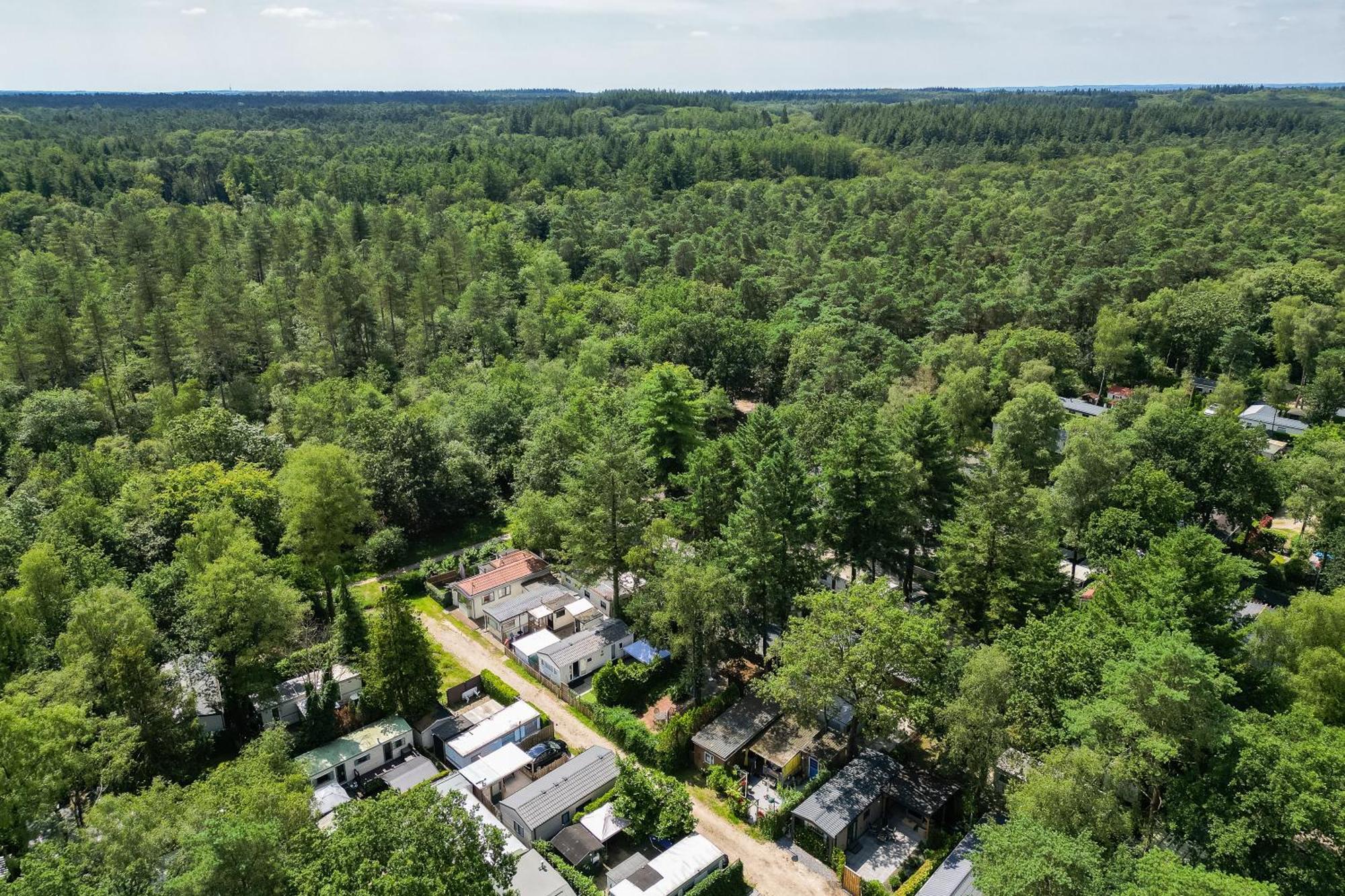 Veluwe Hoenderloo Luxury Chalet With Private Sauna And Hot Tub - Swimming Pool Tennis Court Supermarket Bowling Alley Theatre And Entertainment For Children Esterno foto